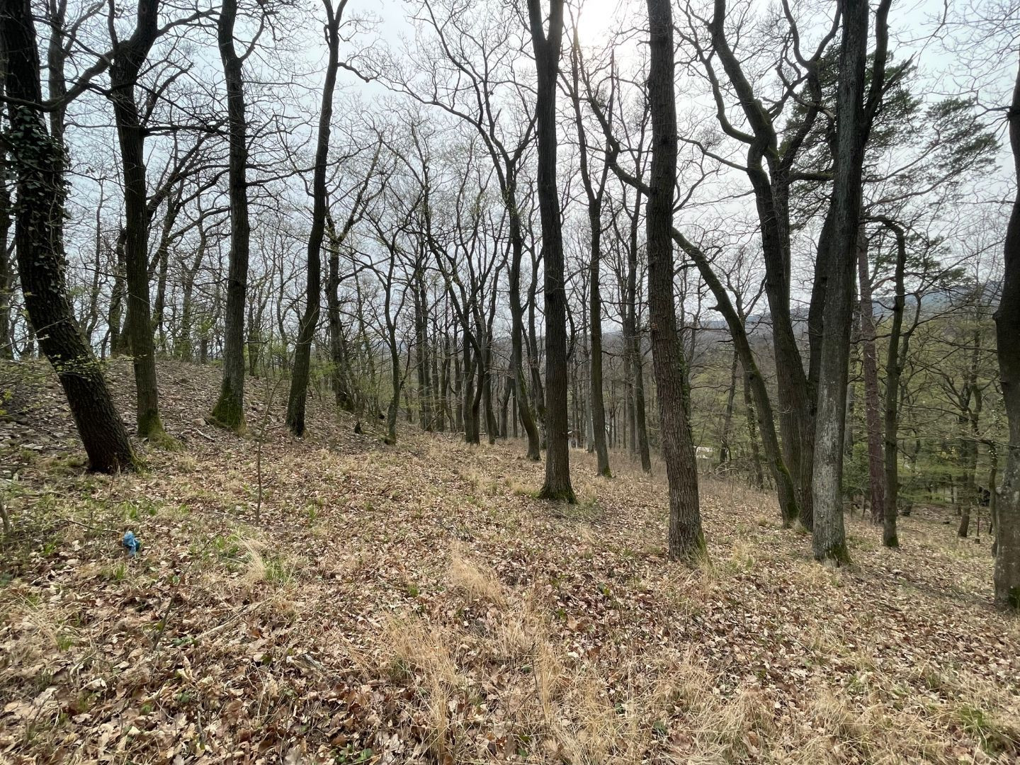 Pozemok na celoročne obývateľnú chatu, Modra Harmónia