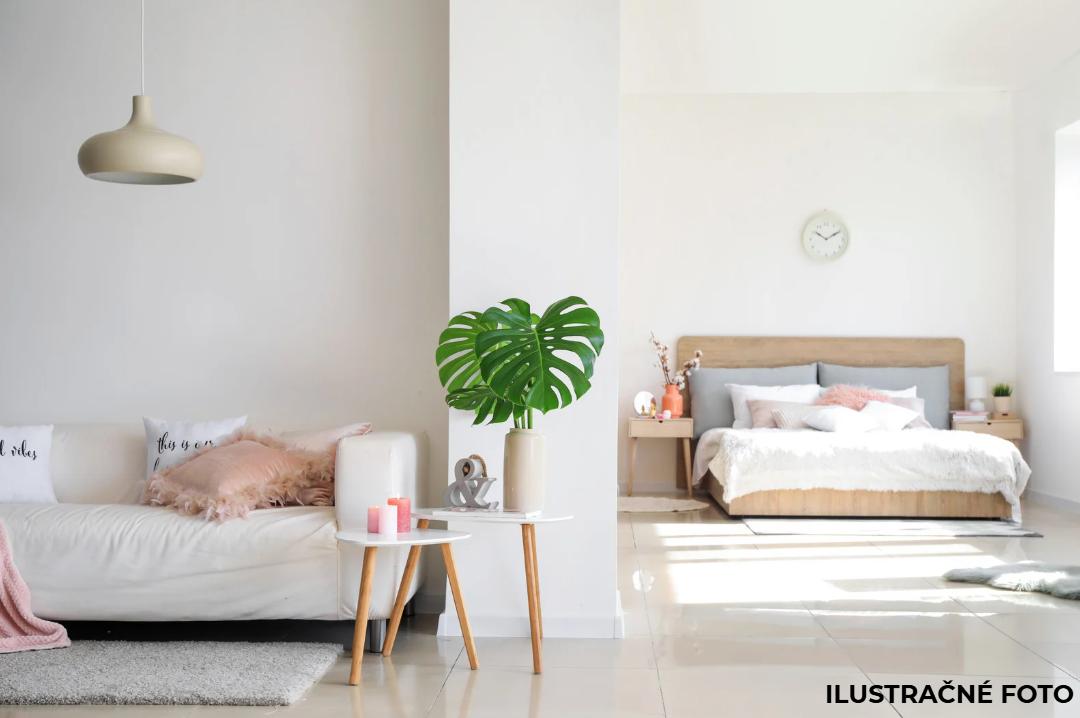 PRE HOTOVOSTNÉHO KLIENTA HĽADÁME 2 IZB BYT - RUŽINOV, NIVY  / NOVÉ MESTO