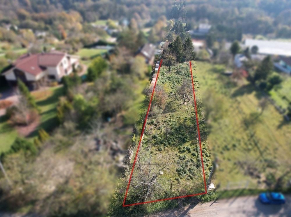 Predaj veľkého slnečného pozemku v STUPAVE ul. Lesná