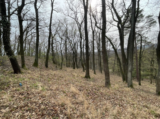 Pozemok na celoročne obývateľnú chatu, Modra Harmónia